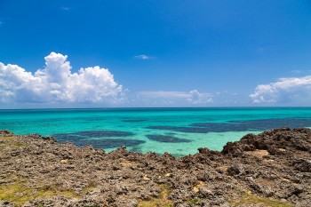 MIYAKO96_aoiumi20140802500-thumb-1200x800-5289