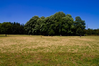 PPW_aozoratokouen500-thumb-750x500-635