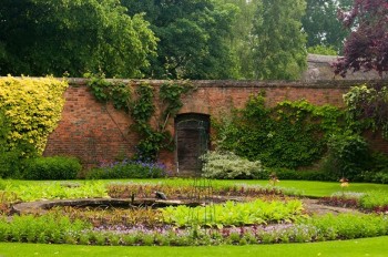 MS251_cristchachmidori500-thumb-815xauto-2656